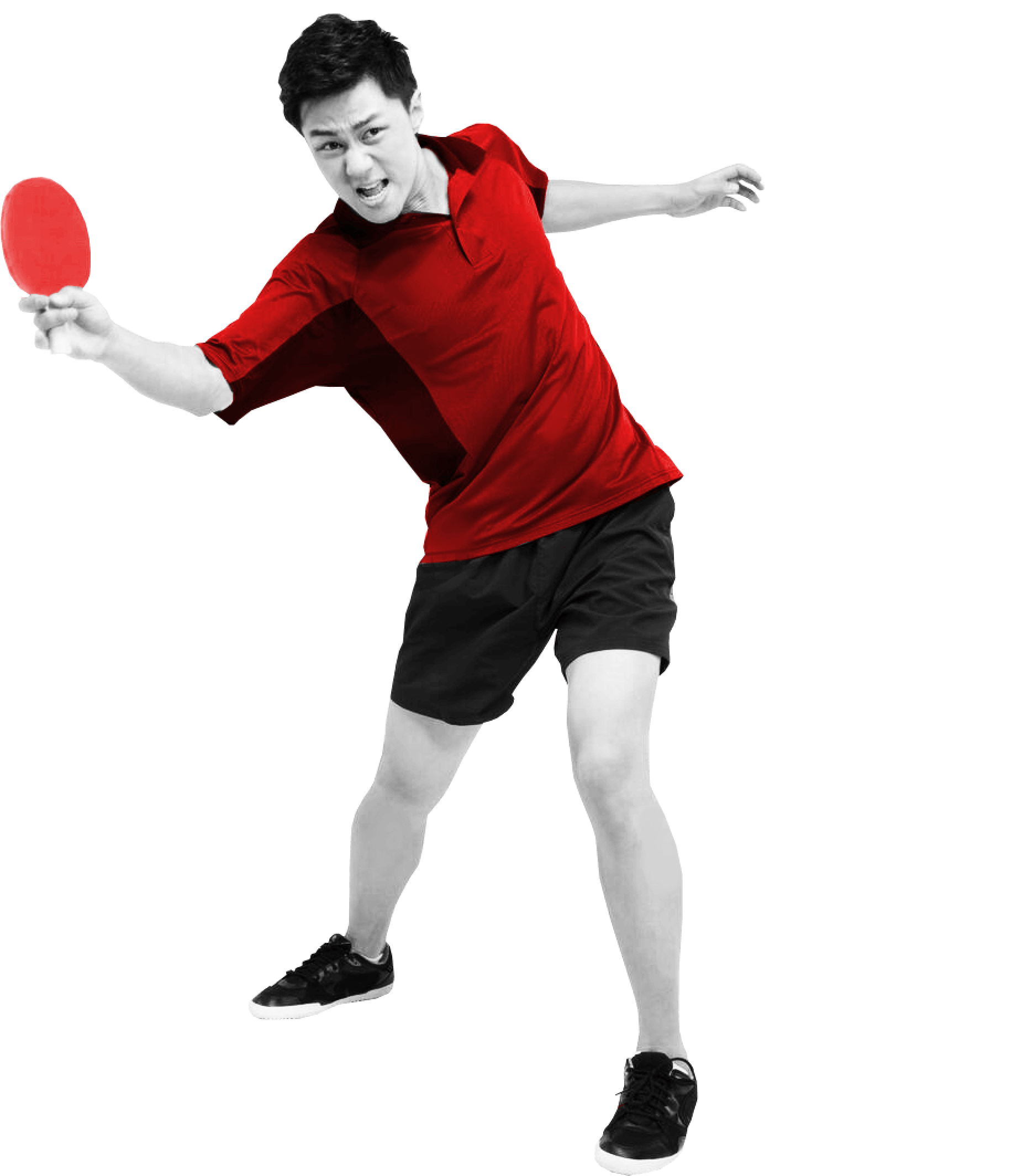Table tennis Data Feed API · Markets, Stats, Scores and Fixtures